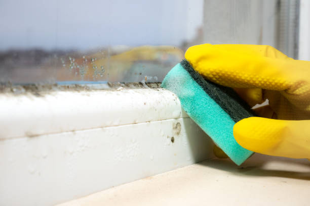Water Damage Restoration in East Moline, IL
