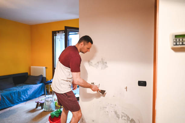 Best Best Mold Removal Companies  in East Moline, IL